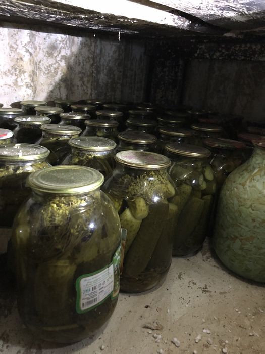 Соленье домашнее. Огурцы. Помидоры. Капуста