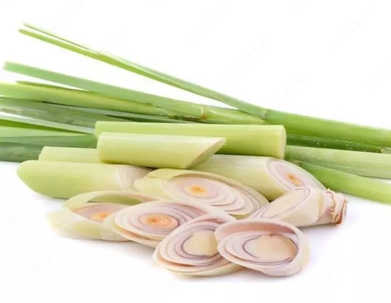 Lemongrass / Лемонграсс