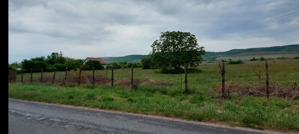 Teren de Vanzare - 11.780 m - INTRAVILAN, Desc. ap.110 m, MEREI - BUZAU