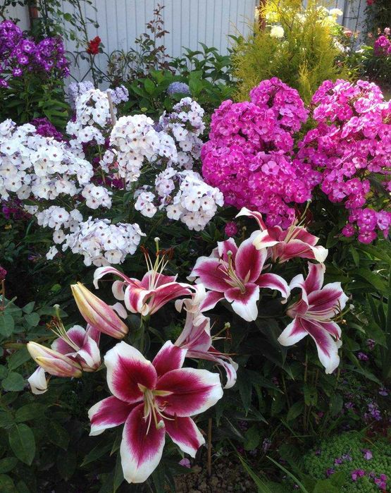 ПРОДАЕТСЯ ДОМ 4.5 СОТОК  4 ком на границе Ташкента  Кибрай рн