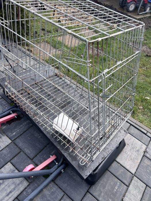 Cusca pliabila animalute, destul de incapatoare