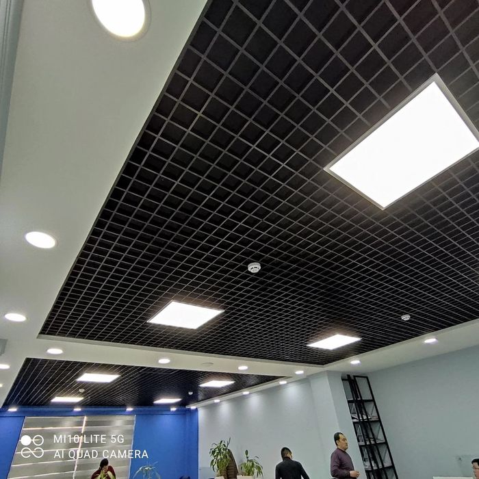 Грильято и армстронг (4)