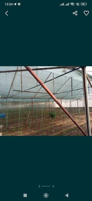 Parnik sotiladi 5 sotiq