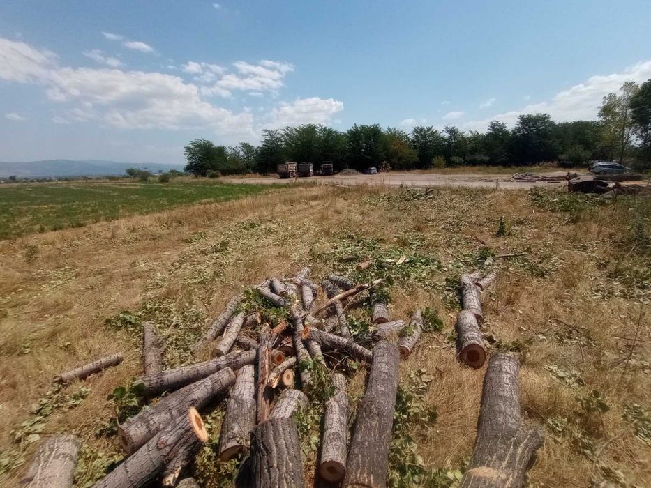 Рязане на дървета почистване на имоти