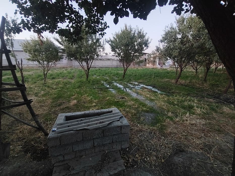 Sirdaryo tumani chuqur maxalla