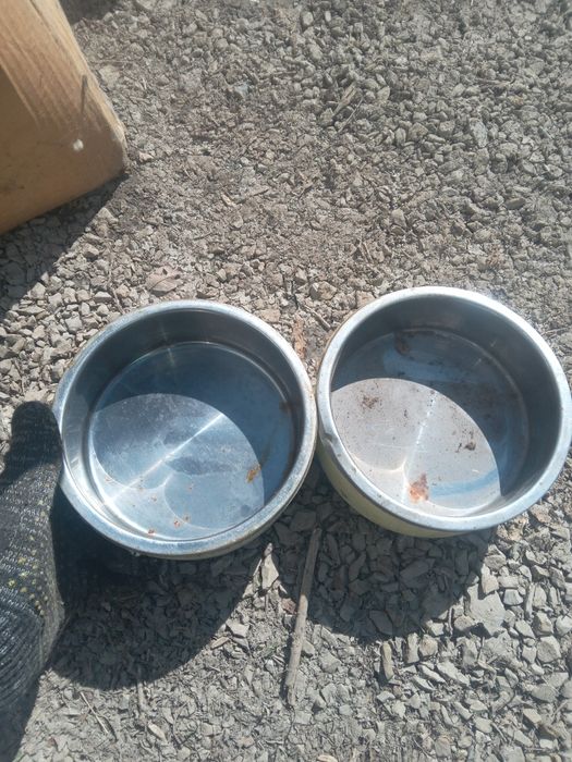 Миски для животных кошки собаки