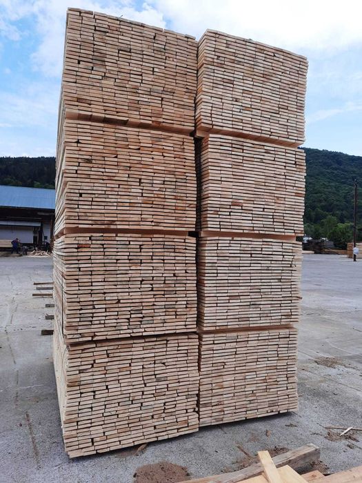 Cherestea Scandura Tivita Brad Molid Rasinoase