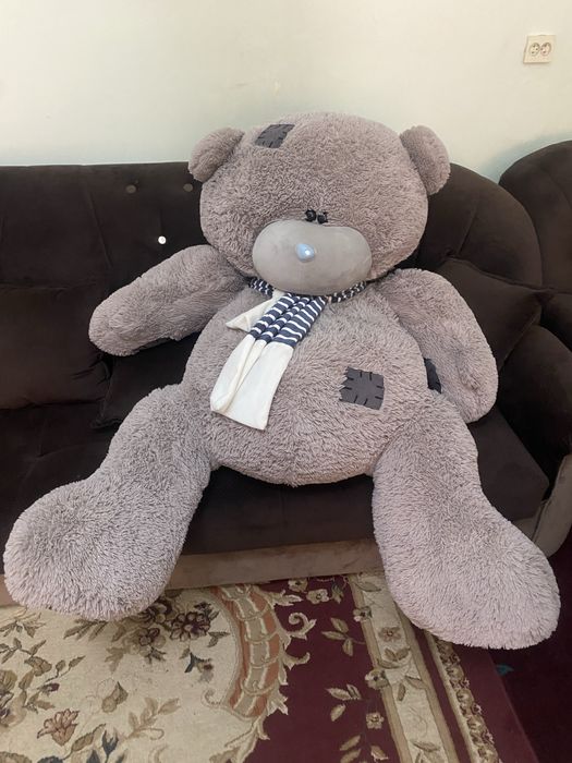 Teddy oyincho sotiladi kottasi original zamshli