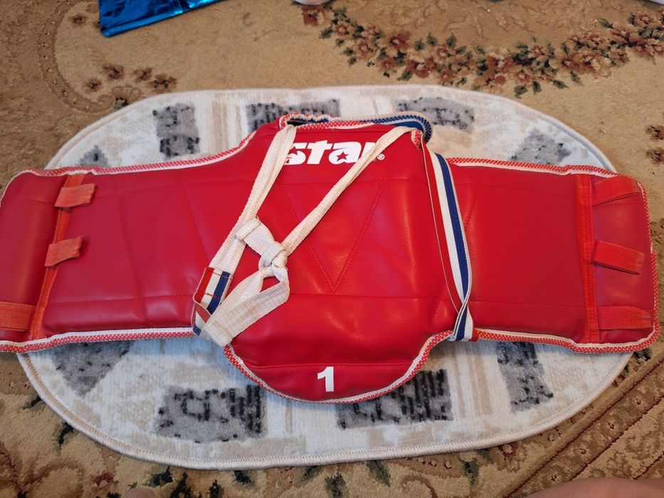 Протектор( таеквондо)