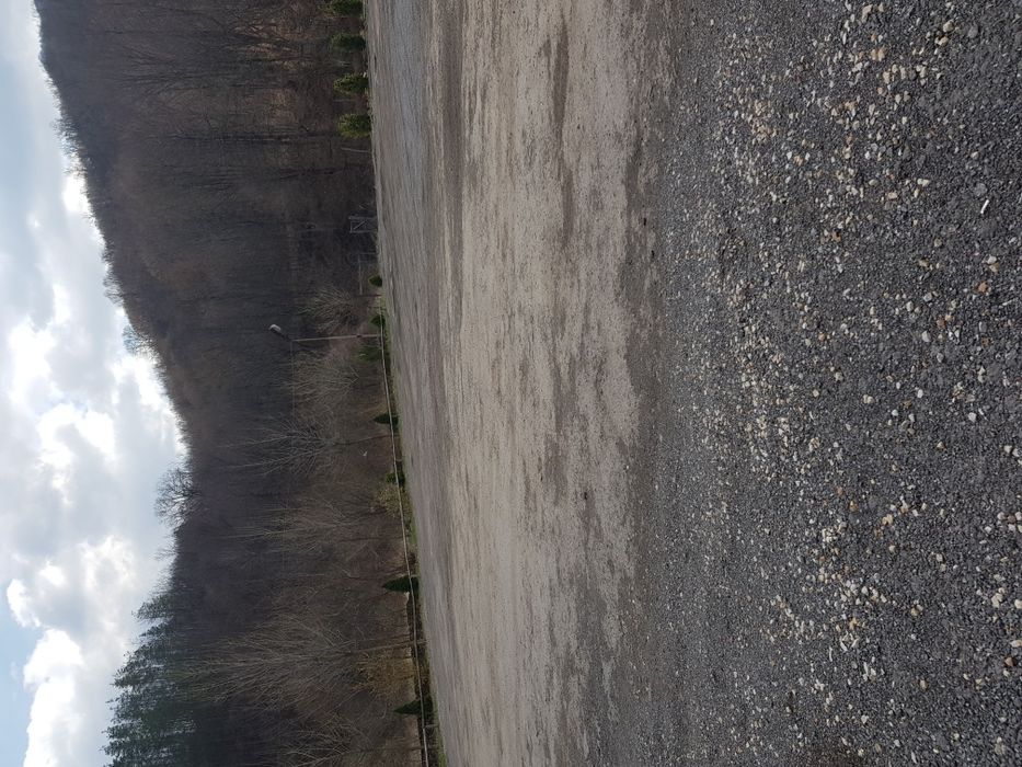 Продава се Парцел в с. Пчелиново, Област Стара Загора - 3000 кв.м за 26 €/кв.м - Снимка #1