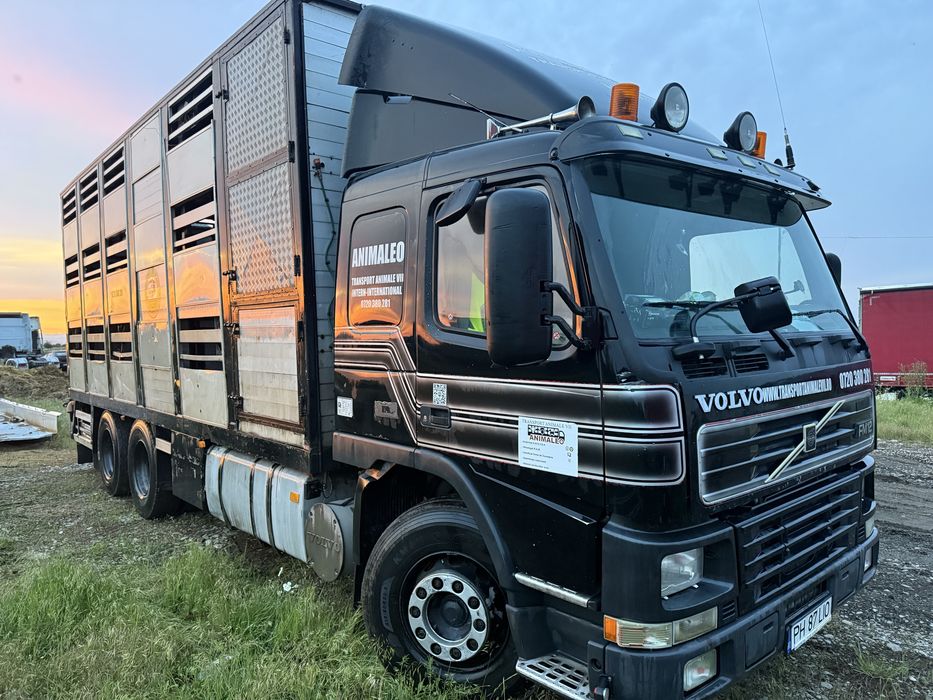 Volvo FM12 animale vii