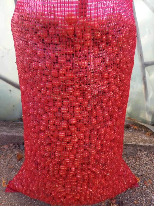 Арпаджик. Лясковски