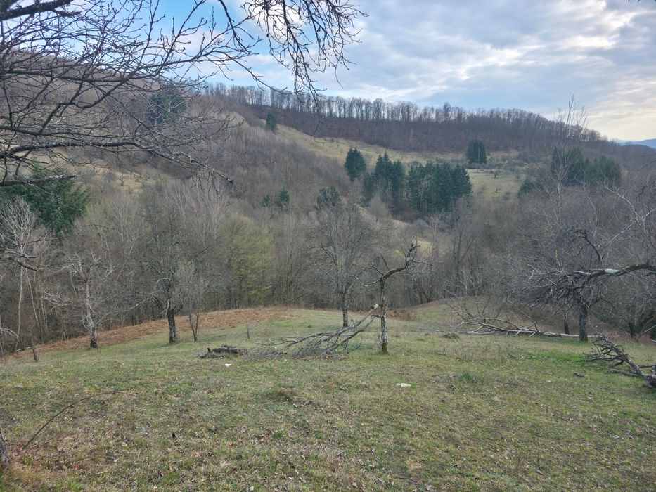 Casa de vanzare la deal