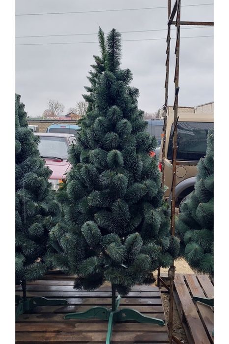 Ёлка пачти новый