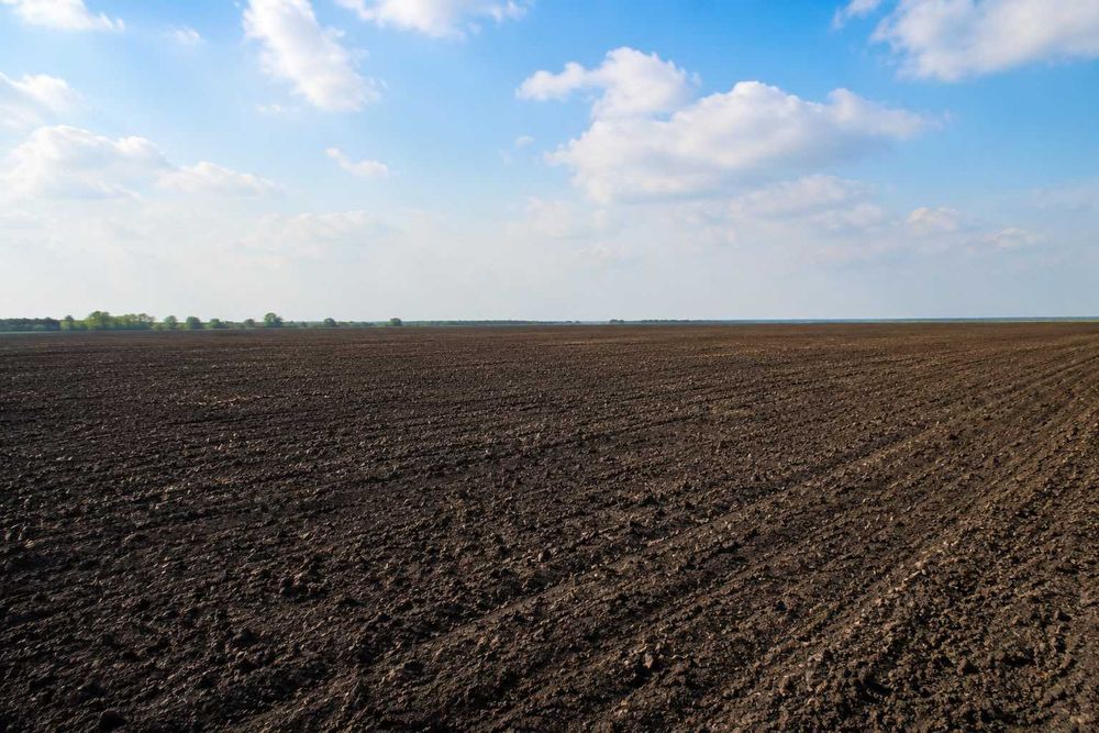 De vanzare teren extravilan, 30.000 mp, TULCEA