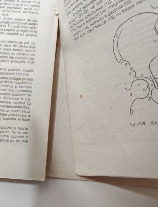 Carte medicina: Anatomia Omului (nr.2: Membrele )