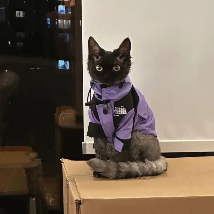 Тёплая куртка для собак и кошек