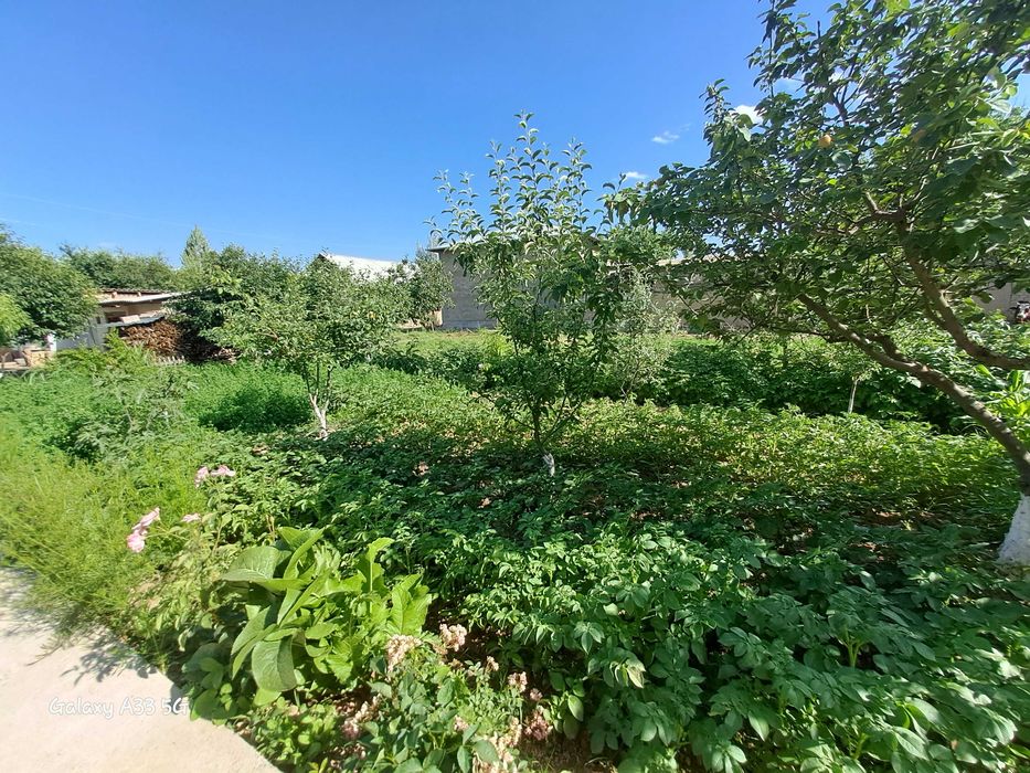 Srochna hovli sotiladi