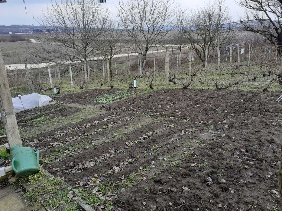 Продава се Парцел в Варна, м-т Евксиноград - 600 кв.м за 43 €/кв.м - Снимка #3