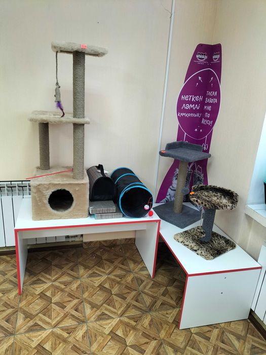 Зоотовары для кошек и собак