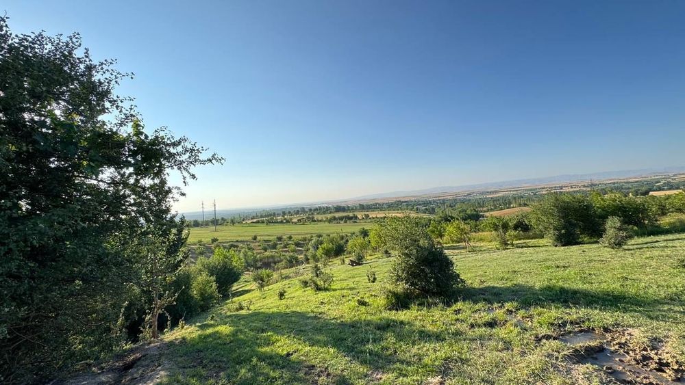 Продаётся фермерское хозяйство 11 га..