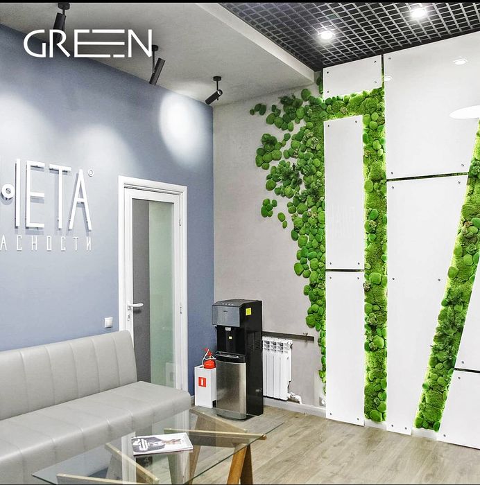 Фитостены Искуственное озеленение премиму класса