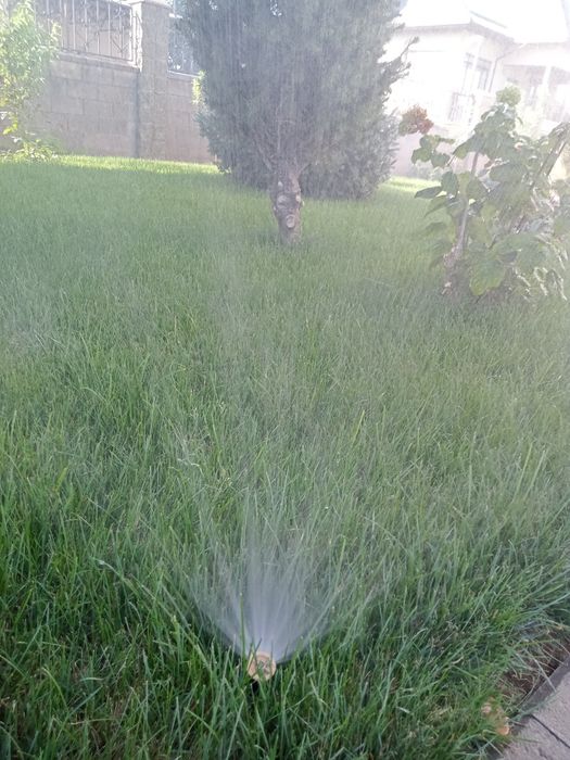 Автополив Hunter.