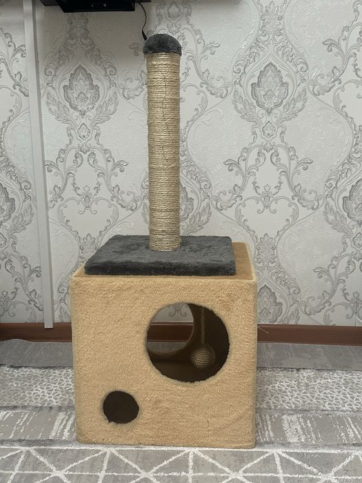 Кошкин дом когтедралка