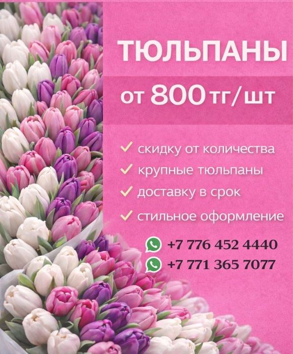 Тюльпаны предзаказ