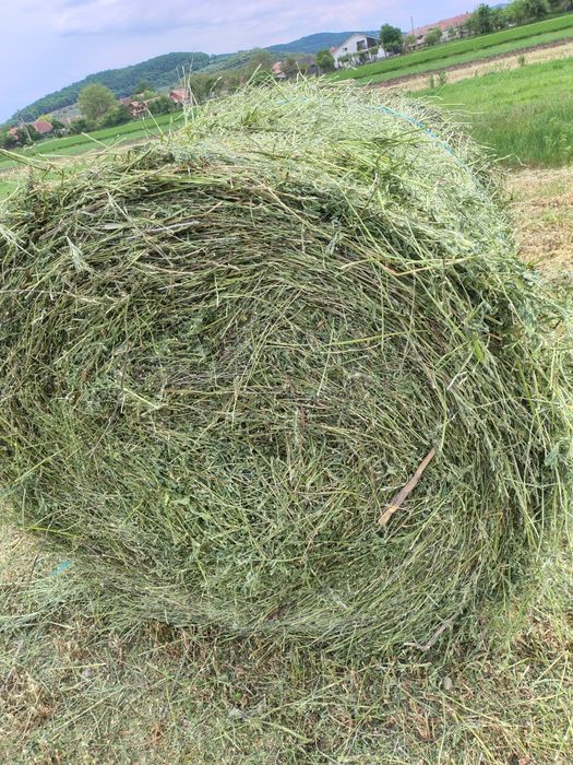 Vind baloți cosa 2