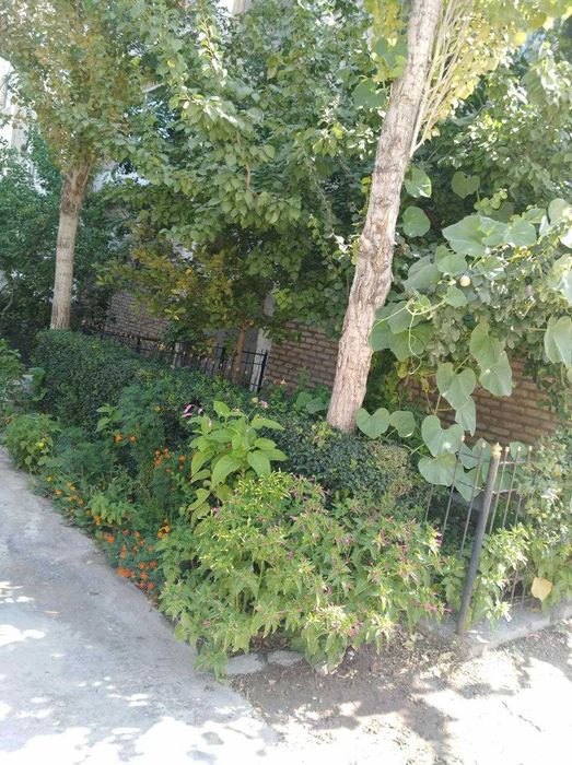 Продаётся квартира 23 мк дом 1/23 1 этаж 3 -х ком, есть сад и погреб