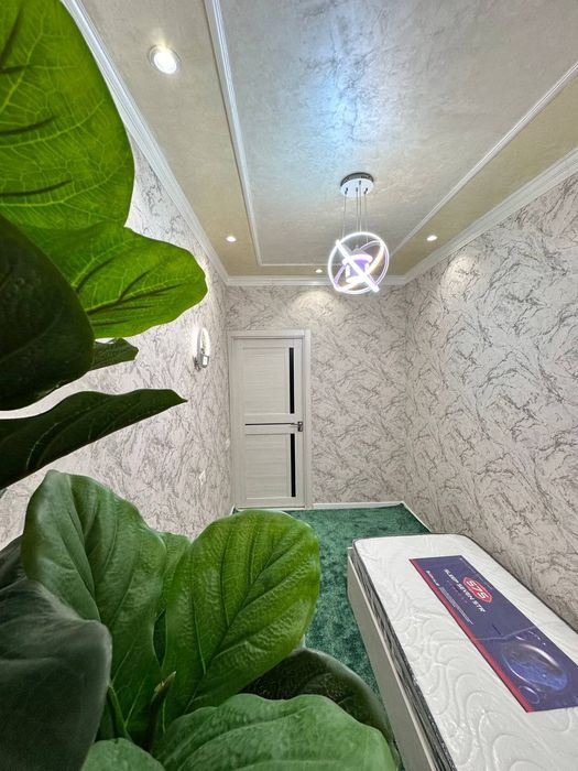 Senior 3 Xanax yevro remont