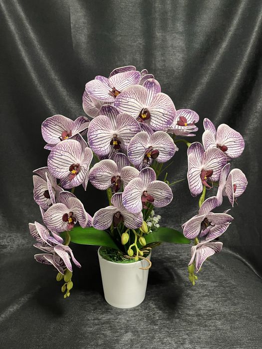 Aranjament orhidee premium