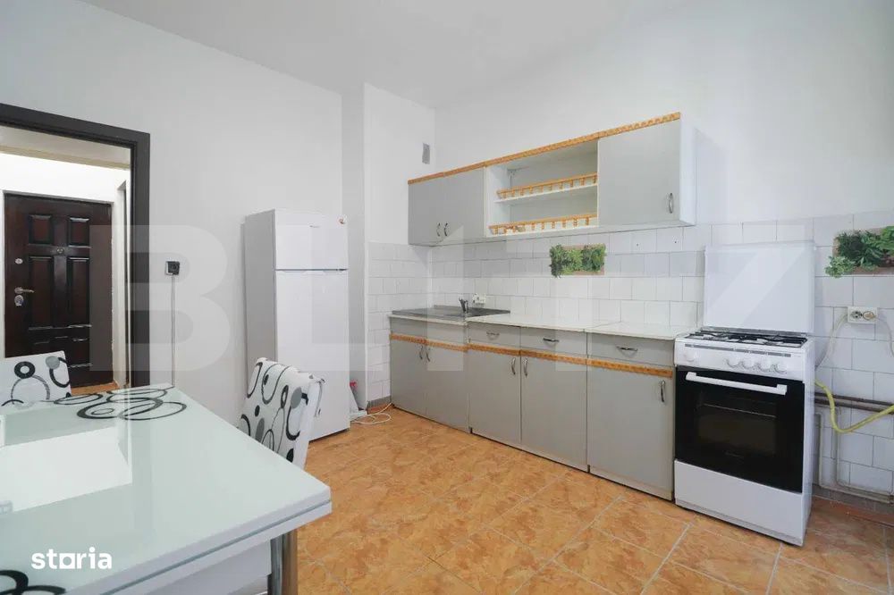 Apartament 1 camera, pet-friendly, parcare, 55mp, zona: strazii Maramu