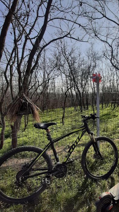 Bicicleta adulți