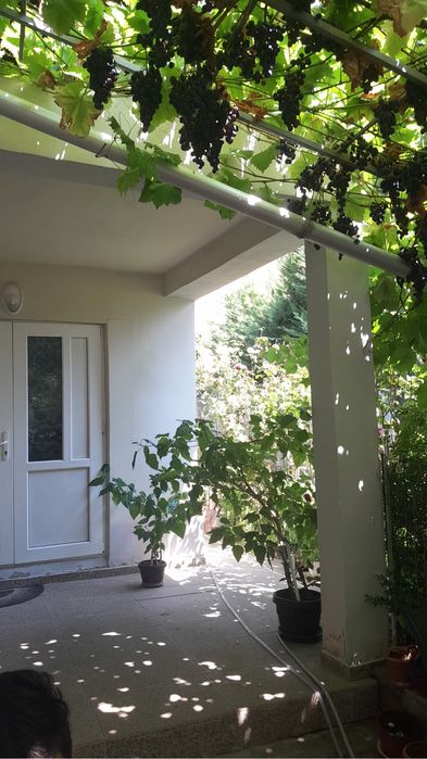 Primesc in gazda elevi