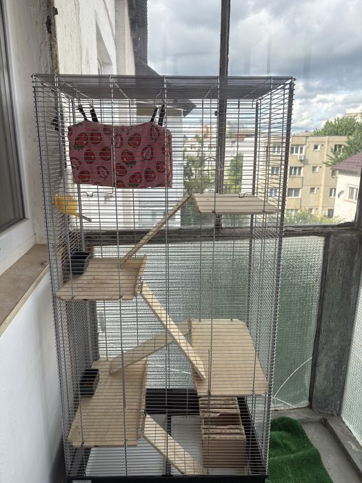 Cușcă pentru rozătoare / chinchilla