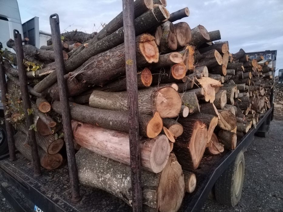Дърва за огрев с. Хрищени обл. Стара Загора