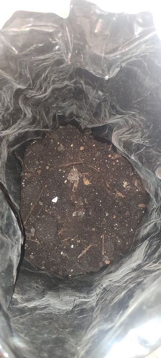 Грунт для цветов (земля)