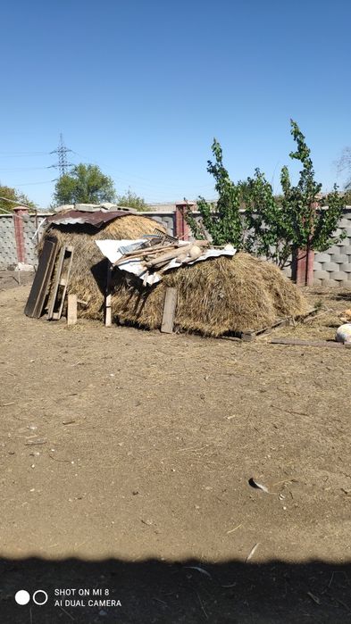 Сено для скота,майское