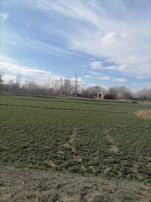 Срочно йер сотилади