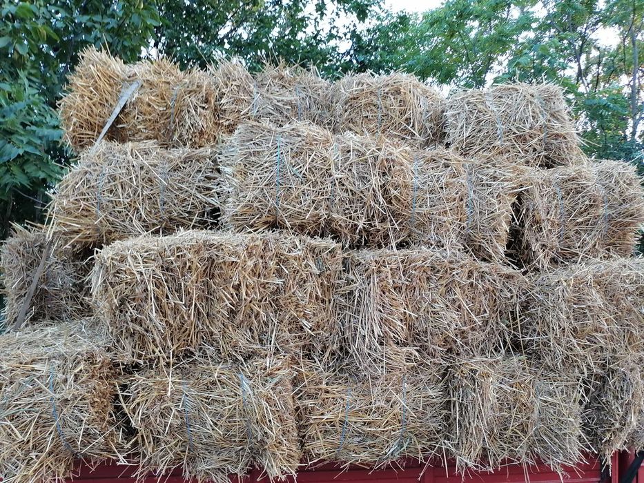 Продавам Бали пшенична слама