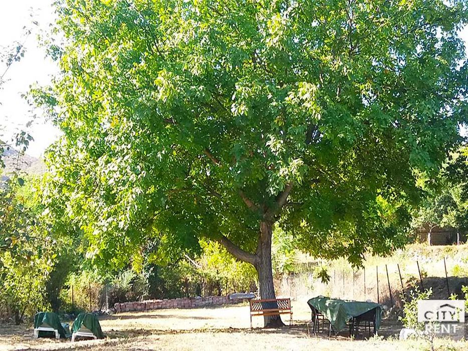 Дава се под наем Къща в с. Самоводене, Област Велико Търново - 120 кв.м за 598.23 € - Снимка #13