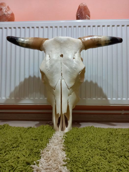 Obiecte de Colecție