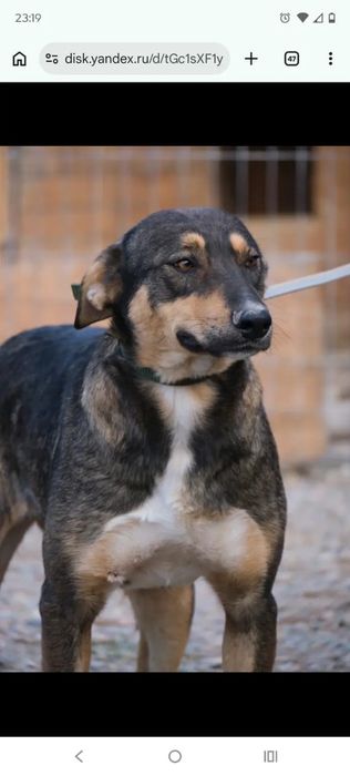 сТорожа, ОхраНики, ЗвоНочки .