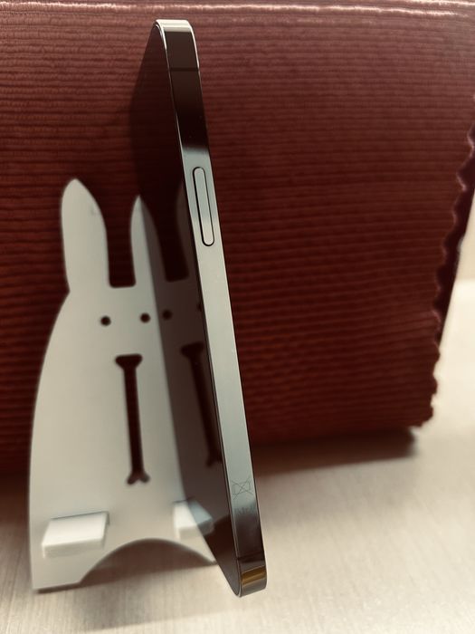 iPhone 12 Pro, 256GB, Graphite