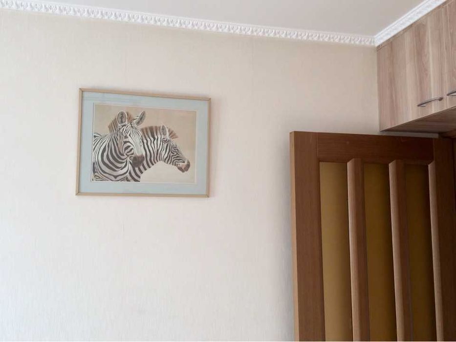 Симпатичная-картина Зебры.
