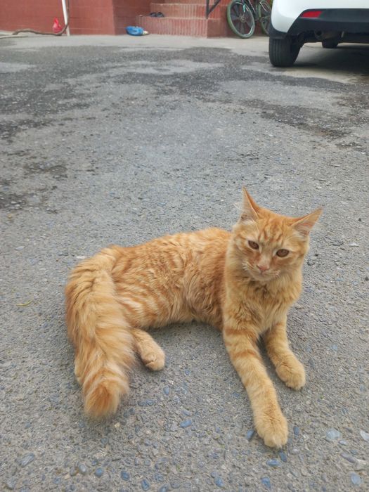 Ichki kiyim pornosi fotosuratlarini koring