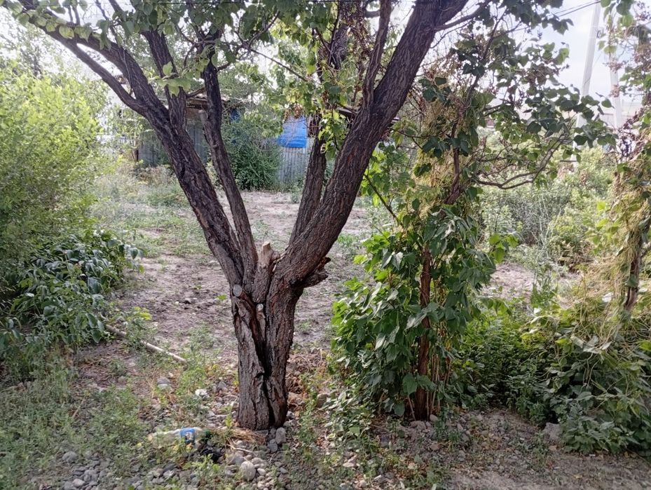 Продам Частный дом