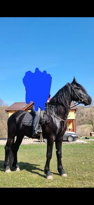 Vand sau variante doar auto